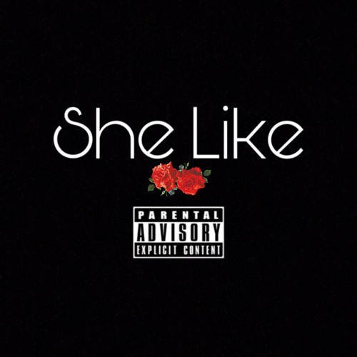 She Like unmastered // prod. by Shushu Boi