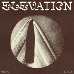 CC Dub & Pijule - Elevation