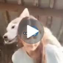 [Video Original 18++] poliwam chica inocente brisa amalla poliwam video twitter poliwam en twitter