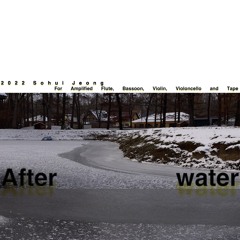 After Water for Flute, Bassoon, Violin, Violoncello and Tape