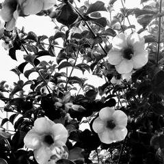 Bttologic @ Heard From Medellín (04-02-2023)