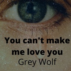 You Can't Make Me Love You