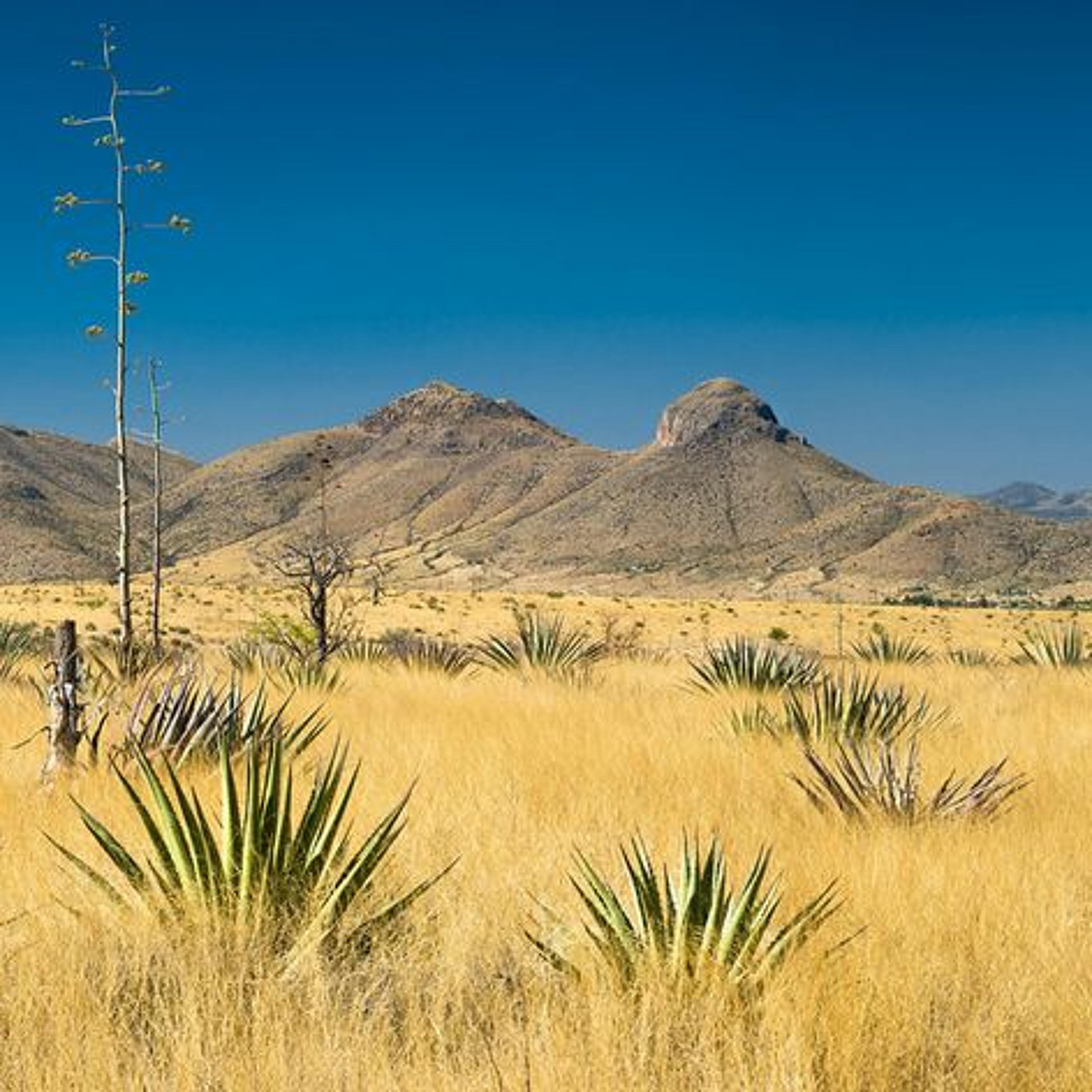 Journal of the Southwest Radio