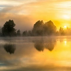 Soul Shivers - Soulscape 003