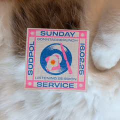 Sunday Service - Dino b2b Marco Vinyl Set @ Südpol