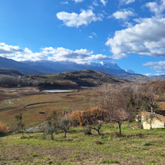 William (moving too fast)