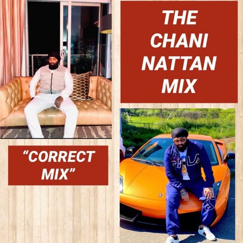 THE CHANI NATTAN MIX - "CORRECT MIX"