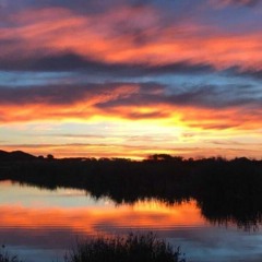 Veridium - Isolation Sessions 2