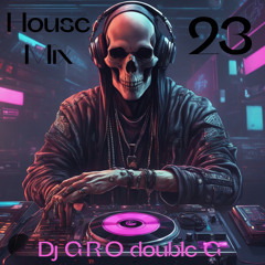 House Mix 23