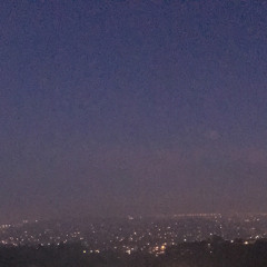 HONDA CIVIC / HOLLYWOOD