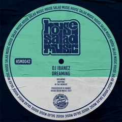 HSMD042 DJ Ibanez - In The Moment [House Salad Music