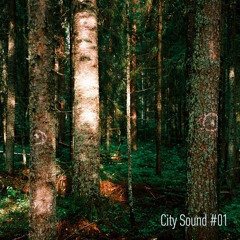 City Sound 01