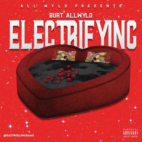 Burt AllWyld - ELECTRICFYING