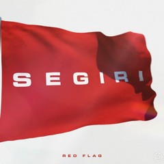 Red Flag (DAX DANI Remix)