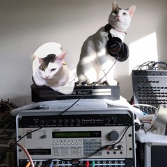 Kitten's Drum Machine(SH-1oh1 mix)