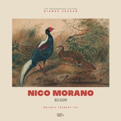 Nico Morano @ Melodic Therapy #107 - Belgium