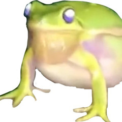 frog