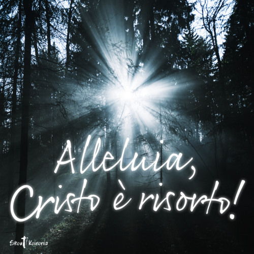 Stream Alleluia Cristo è Risorto By Shout Koinonia Listen Online