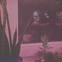 Alles der Musik Willen 001