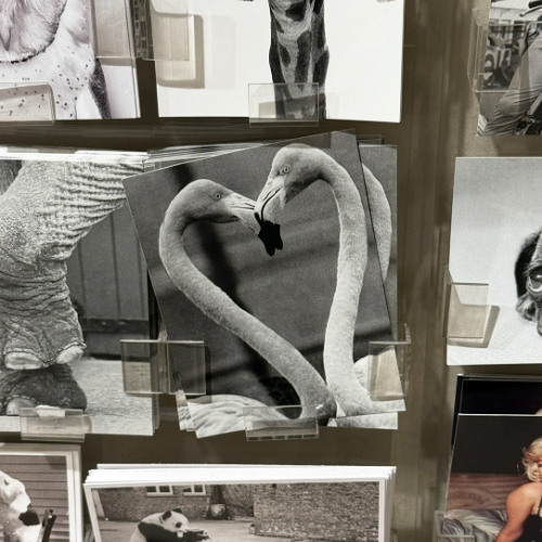 부 재 중 이 라 니 ! 🥺