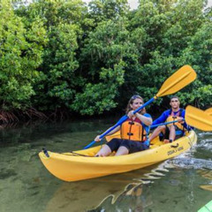 Review Special Price Bio Bay Night Kayaking With Transport From San Juan Area