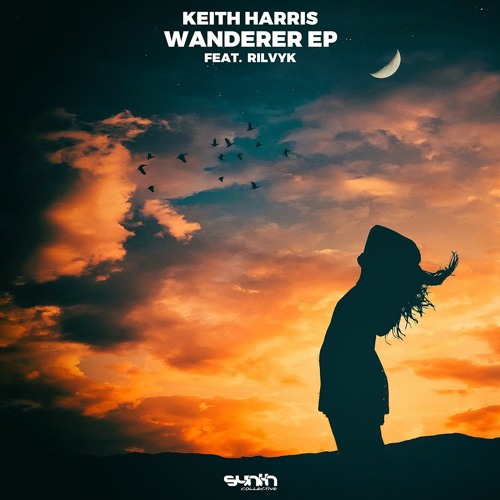 Keith Harris & Rilvyk - Light It Up [Synth Collective]