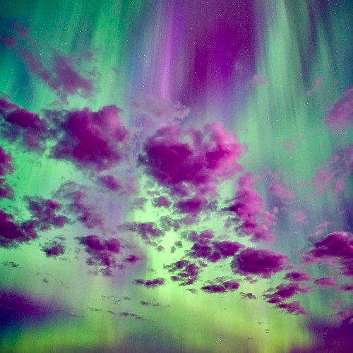 Summer Revolution Journey