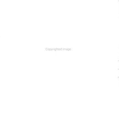 [PDF/ePub] Bellwether - Connie Willis