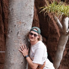 Avicii - all you need is love(lapopen edit)