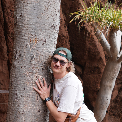 Avicii - all you need is love(lapopen edit)