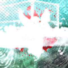 ≽༒︎≼