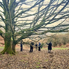 Incredible (prod. Lotus)