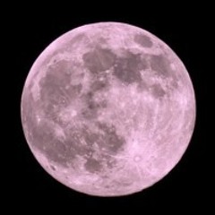 Solace - Pink Full Moon Live Set - April 12th 2025