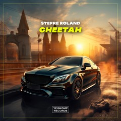 Stefre Roland - Cheetah