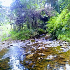 Agua fluyendo