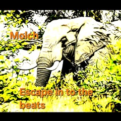 Molch-Lonely nights