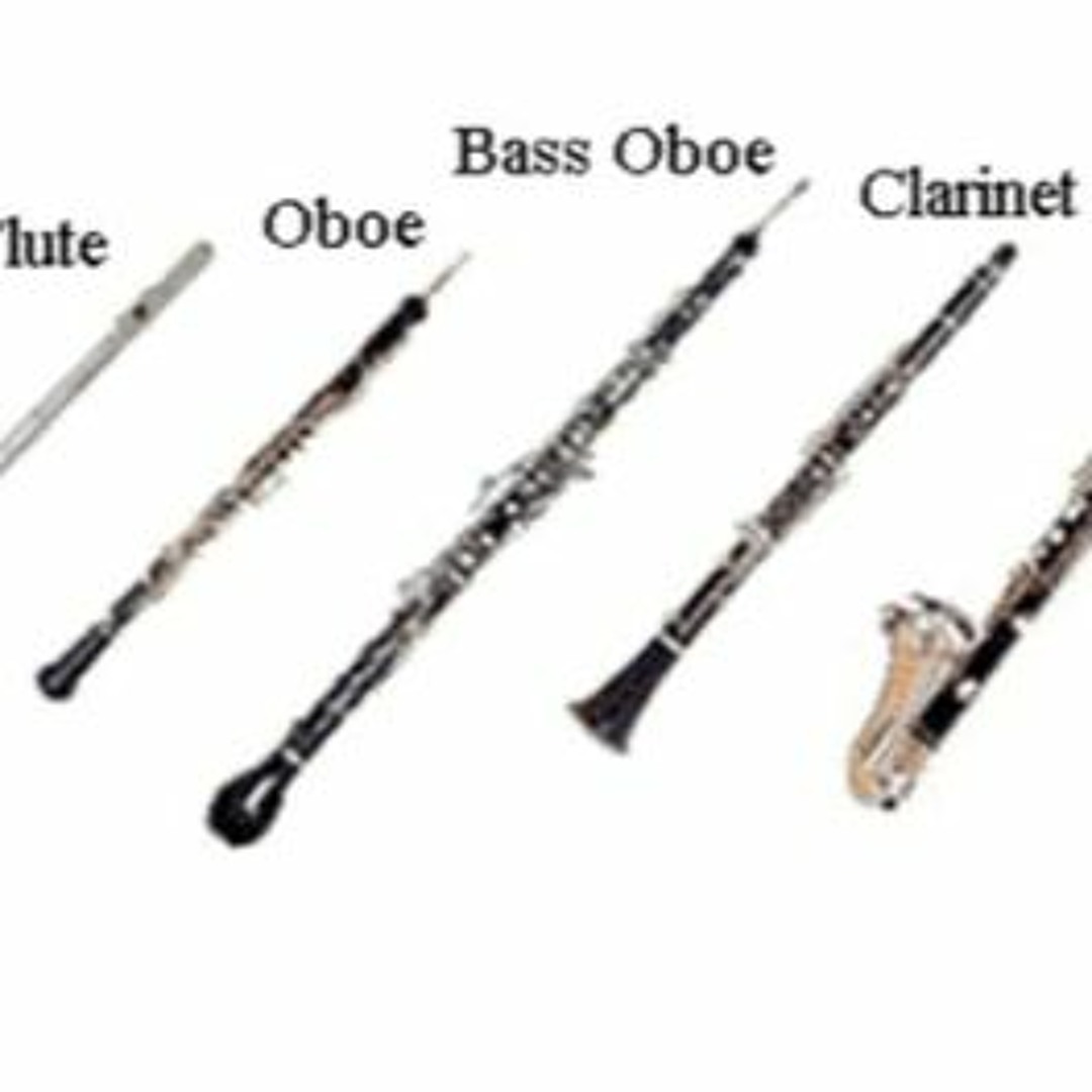 Giant oboe top
