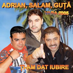 Nicolae Guta Ft. Gabi de la Buzau - Barosan De Barosan