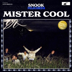 Snook - Mister Cool (Pelikanen Remix)