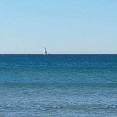 the world of cosmochick