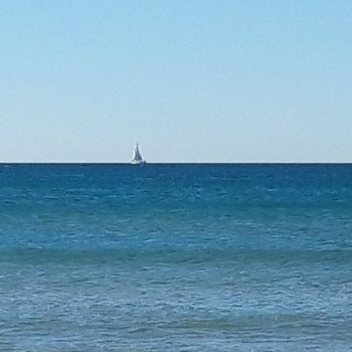 the world of cosmochick