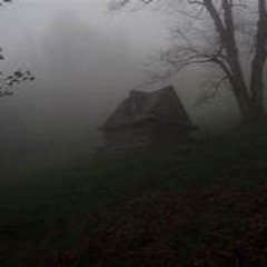 the hills have eyes