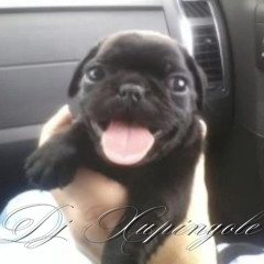 DJ XUPINGOLE x ACABAÇAO COM A XEREKINHA DELAS