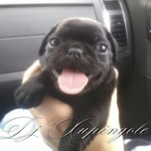 DJ XUPINGOLE x ACABAÇAO COM A XEREKINHA DELAS