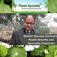 Brahmi (Bacopa monnieri) - Health Benefits and Ayurvedic Properties