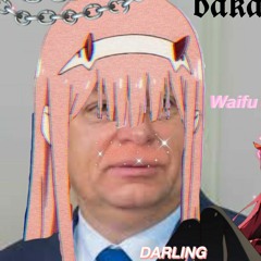 nem lesz semmi baj !