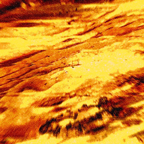 Royal Silk