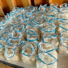 TRAILER PARK DRUGS (LANDONSDEAD){HOODWINK}