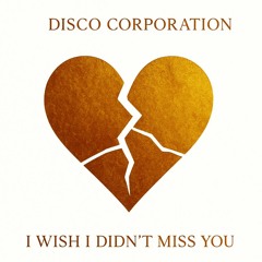 D Corporation - I Wish I Didn't Miss You (  Perfect Love Mix )