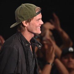 The Skarin House Project - Country House = True (early)